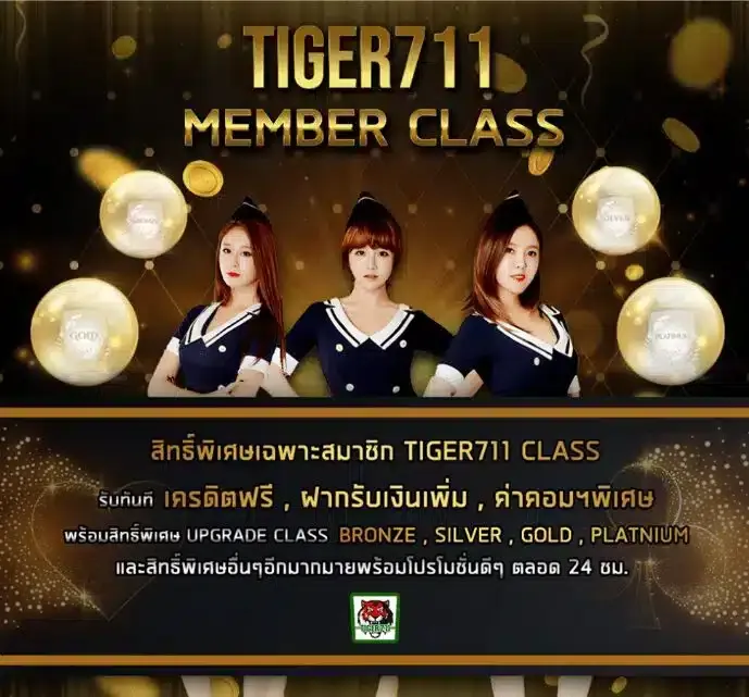 imgi โปรโมชั่นไทเกอร์